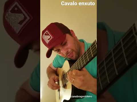 Cavalo Enxuto Tião Carreiro e Pardinho