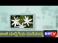 Jaji Mallige Benefits