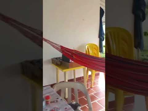 Finca Monterrey Casanare