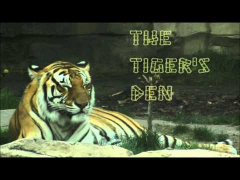 March 28th Power Trading Hour with David White on TFNN - 2017