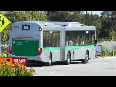 Transperth Volvo B8RLEA (Volgren Optimus) TP3098 @ Roger Mackay Drive,Burswood