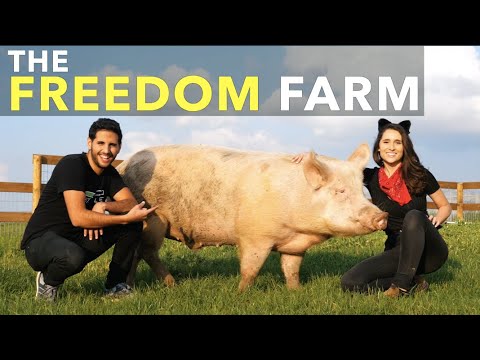 The Freedom Farm
