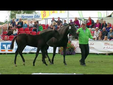 Stf v For Romance I OLD x Weltissimo x Lanthan 2017