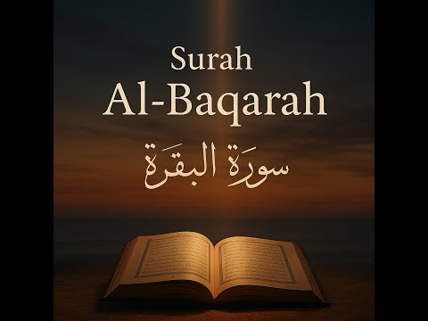 Surah Al-Baqarah | The Shield Against Shaytan | Emotional Quran Recitation | Mishary Rashid Alafasy