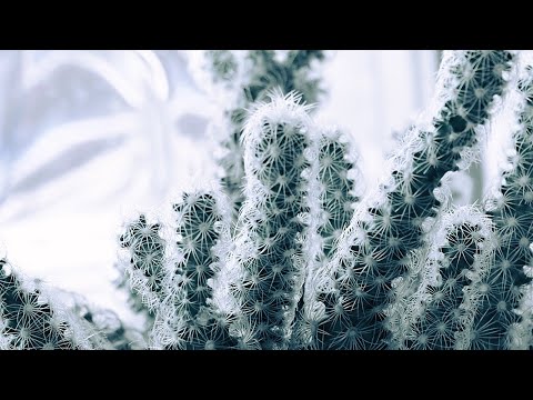 Noiseshaper - Rough Out There