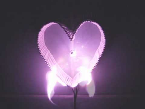 Marigold - Winter Moods