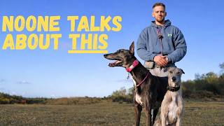 Sighthound Expert | The Brutal Truth of Owning Sighthounds