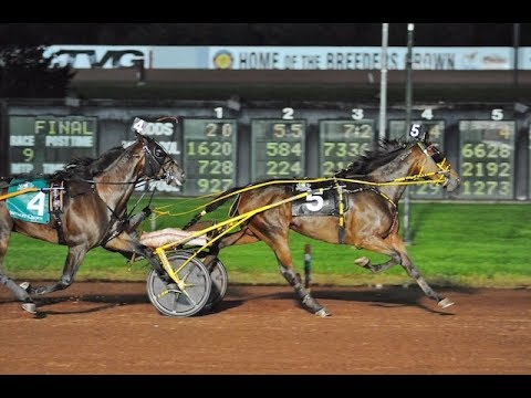 2018 Breeders Crown --  Open Trot Homicide Hunter 1:52 3