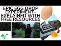 Egg Drop Challenge- Physics Explained