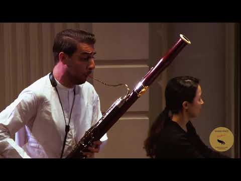 Fagotles in Sint-Pieters-Woluwe