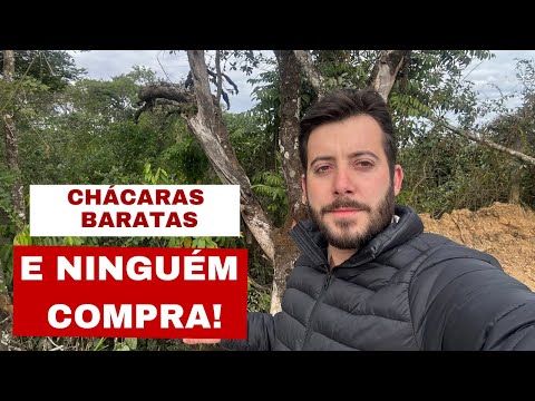 Many farms are almost free and the owners cannot sell them in Minas Gerais