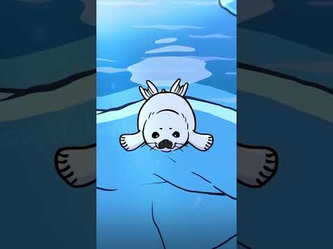 #fandub #animation #humor #dublagem #seaanimals #cuteanimation #cuteanimals #sea