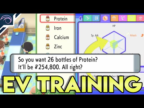 EVERY METHOD HOW TO EV TRAIN in Pokemon Brilliant Diamond Shining Pearl EV Training Guide