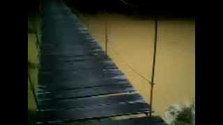 preview picture of video 'Jembatan Gantung Di Taman Nasional Kutai,Sangkima.3gp'