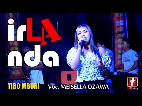 Download Lagu Tibo Mburi Dangdut Mp3 Gratis