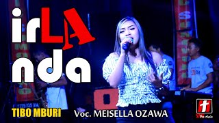 Download lagu Meisela Ozawa - Tibo Mburi cover (Ndarboy Genk) - IRLANDA live Ungaran 2018 | HD Video mp3