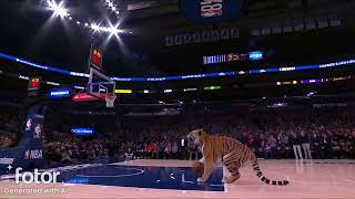 Animal NBA Games: Epic 3-Point Contest with Wild Players!