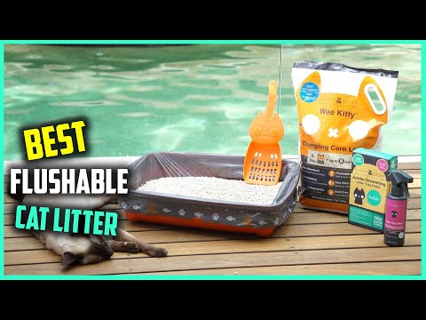 Top 5 Best Flushable Cat Litter [Review] - Natural Wood Flushable Cat Litter [2022]