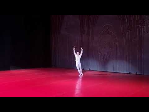 Лебединое озеро