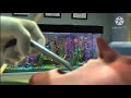 Finding Nemo Dentist Scene