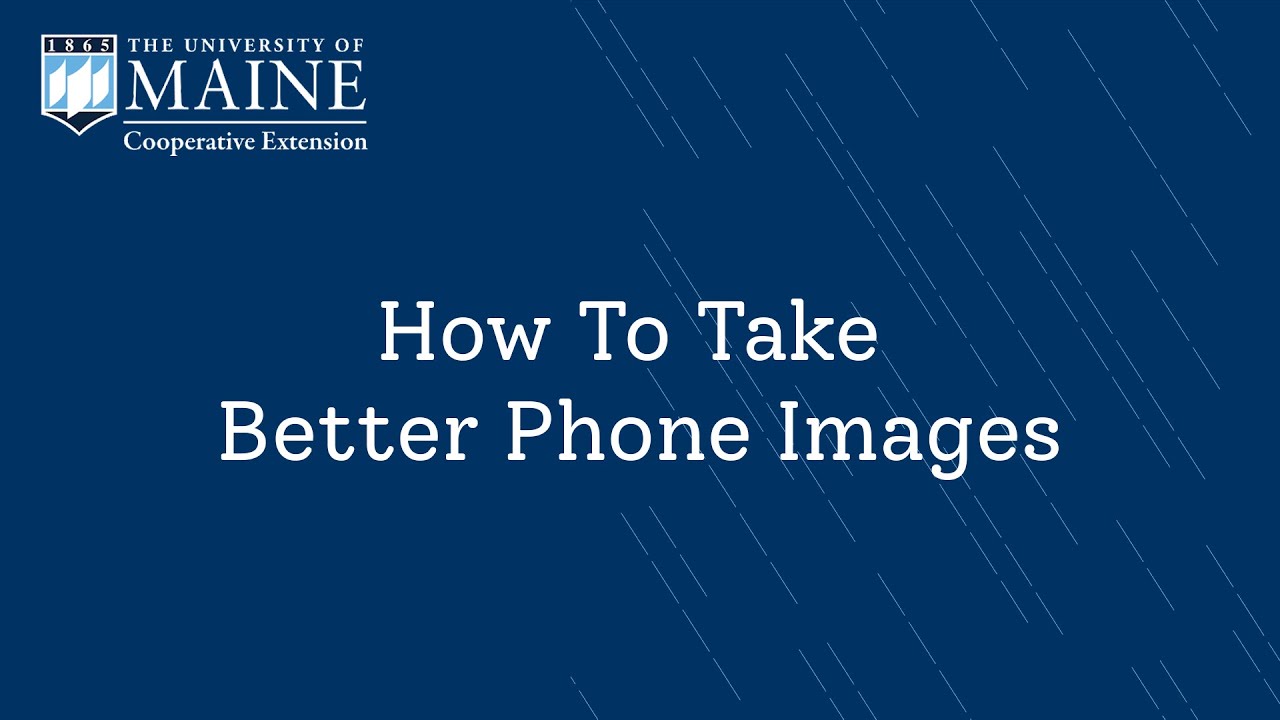 How long did Cabeza de Vaca explore? Tipseri