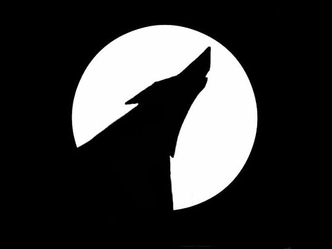 Sem Radar video