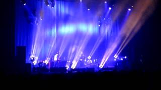 Racoon ~ Don&#39;t Hold Me Down