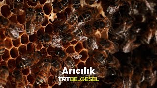 Seydişehirli Balcı TRT Belgeselde