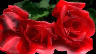 Semino Rossi Frag - nicht wohin die Liebe geht