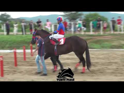 Class: XIV GP HARAS PRIMAVERA 2021 - SÁBADO