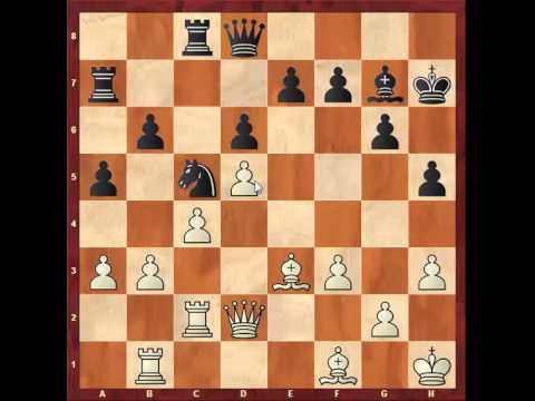 Chess: Susan Polgar 2500 - Petar Popovic 2520, Sicilian - Maroczy Bind http://sunday.b1u.org ✔️