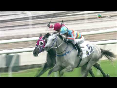 2021 The Hong Kong Sports Institute 30th Anniversary Cup - Senor Toba (多巴先生) - 莫雷拉 (試準增程強配大熱取勝)