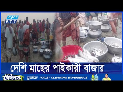 মিঠা পানির মাছে জমজমাট কয়েক ঘণ্টার বাজার কুষ্টিয়ার বৈরাগীরচর