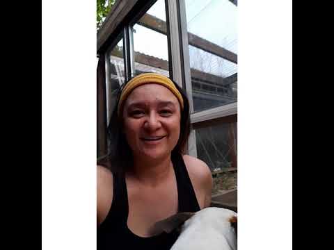 Worm farm - check out our little worm farm, every worm is named Gary!