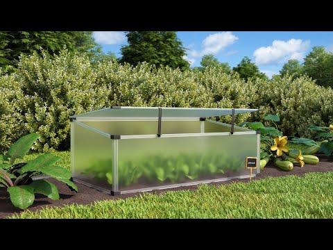 E.P.H. Schmidt Frühbeet Feronia E.P.H. Schmidt Frühbeet Feronia