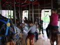 Central Park Carousel