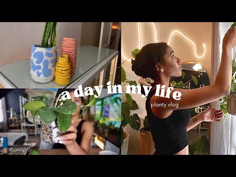 day in the life of a plant mom | potting, pests, & planty projects