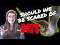 Why Are Bats So Scary