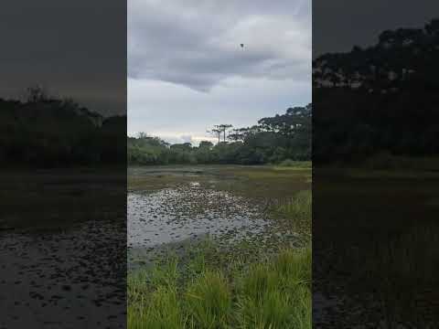 Lagoa parque de imbituva Paraná