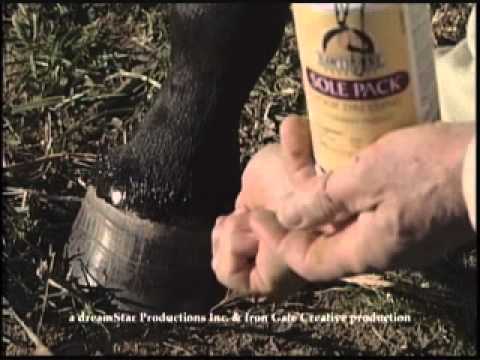 download lagu mp3 mp4 Sole Pack Hoof Dressing, download lagu Sole Pack Hoof Dressing gratis, unduh video klip Sole Pack Hoof Dressing