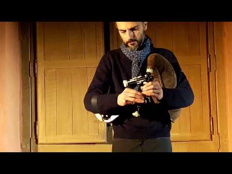 Fête de l' Âne 2017   Sens   François Lazarevitch   Muse et Musette  03 © gl phot@yahoo fr