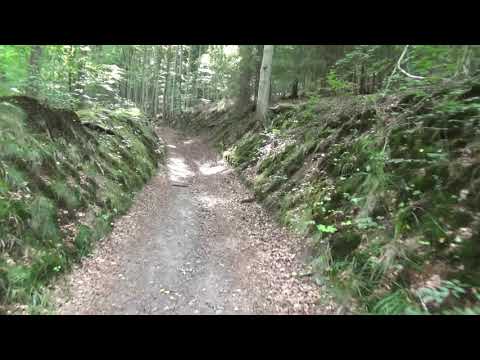 Tour 31: Der vergessene Schirm