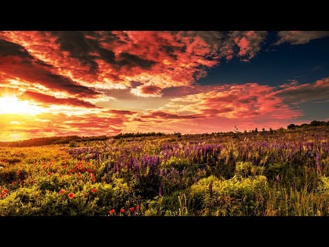 Allen Watts & Alessandra Roncone - The Hymn (Darren Porter Extended Remix)