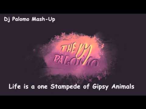 Life is a one Stampede of Gipsy Animals - Dj Palomo Mash-Up