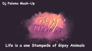 Life is a one Stampede of Gipsy Animals - Dj Palomo Mash-Up