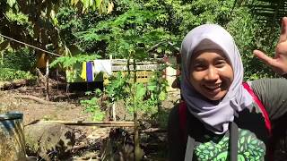 preview picture of video 'Nginep di Vila Tengah Hutan Kalimantan'