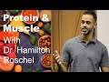 Protein And Muscle With Physiologist Hamilton Roschel