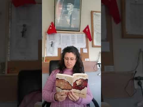 Okuyucumuz Sayın Nursemin Doğan'ın sesinden yorum