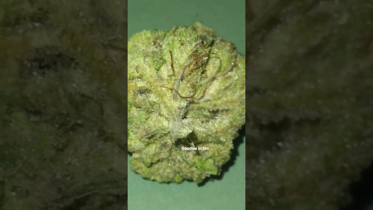 AAA  Animal Face from LUCKY ELK Thca flower #thcareview #new #exotic