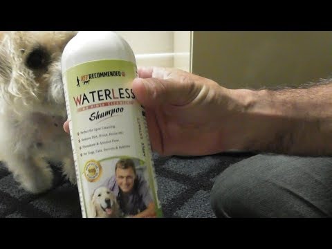 download lagu mp3 mp4 Best Waterless Dog Shampoo, download lagu Best Waterless Dog Shampoo gratis, unduh video klip Best Waterless Dog Shampoo